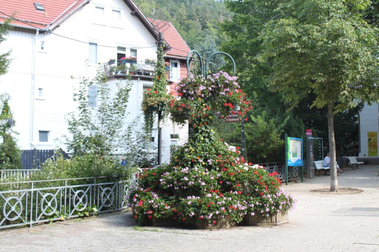 Stadtparkhotel Alexandra
